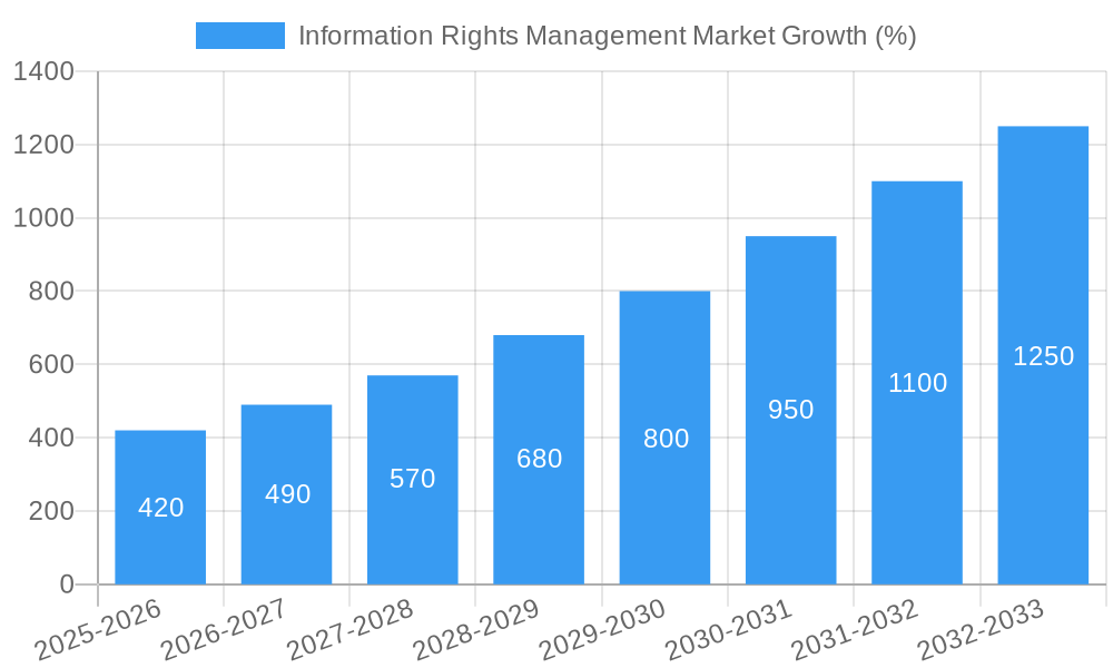 Information Rights Management Market Growth