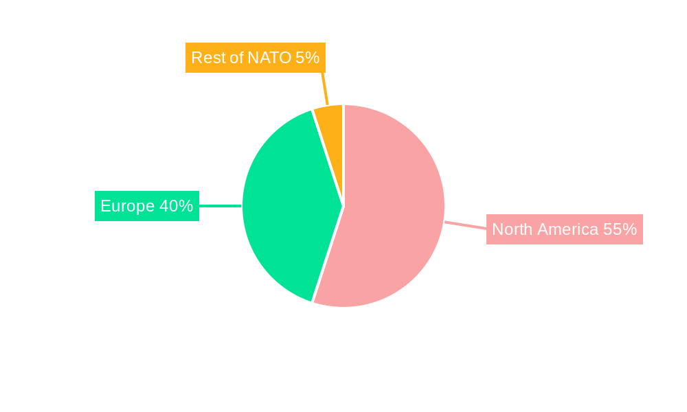 Ammunition Market in NATO Regional Share