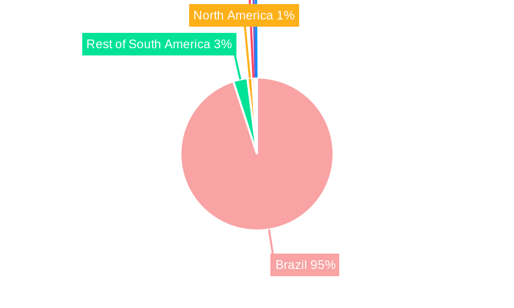 Brazil Oil and Gas Upstream Industry Regional Share