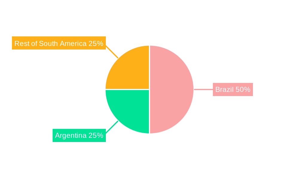 Cashews Market in South America Regional Share