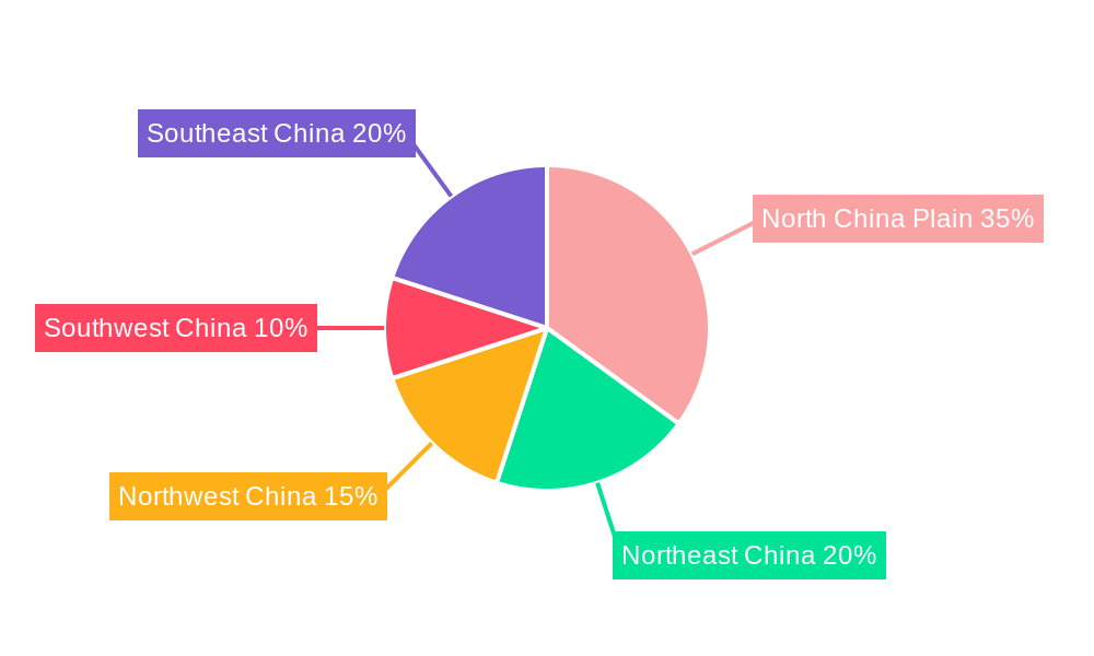 China Oil and Gas Market Regional Share