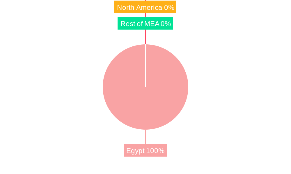 Egypt Oil And Gas Market Regional Share