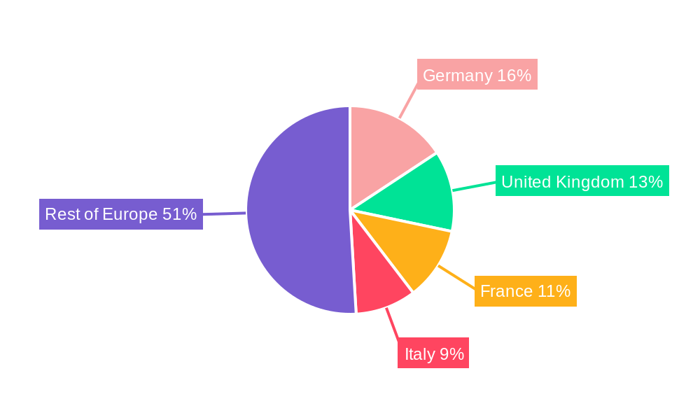 Europe Barbeque Grill Market Regional Share