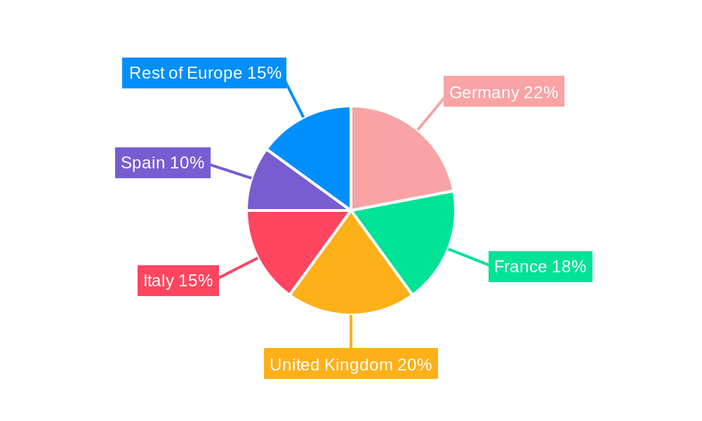 Europe Cardiac Ablation Market Regional Share