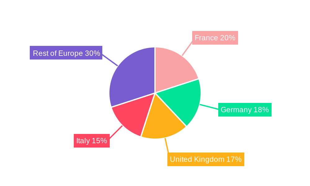 Europe Museums, Historical Sites, Zoos, And Parks Regional Share