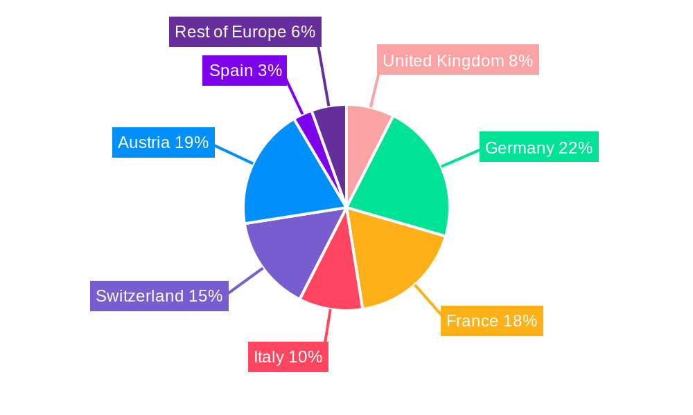 Europe Winter Sports Equipment Industry Regional Share