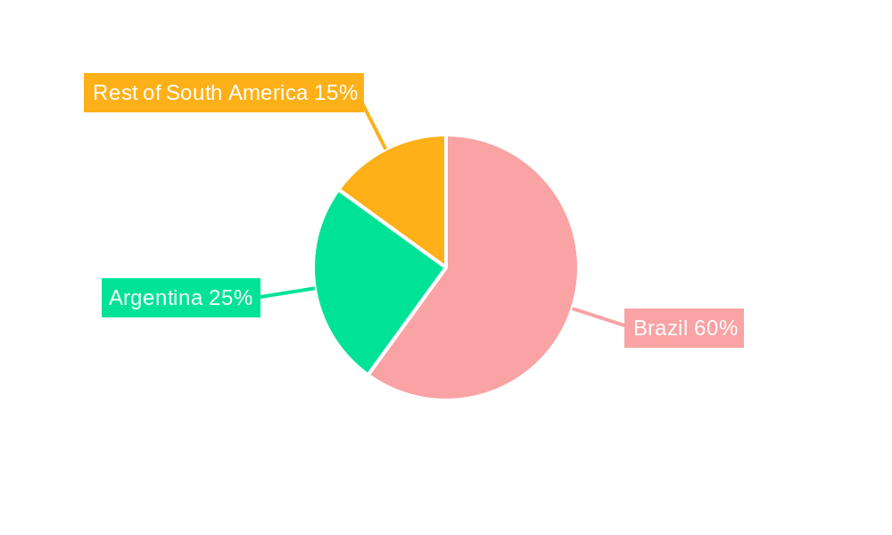 Fertilizers Market in South America Regional Share