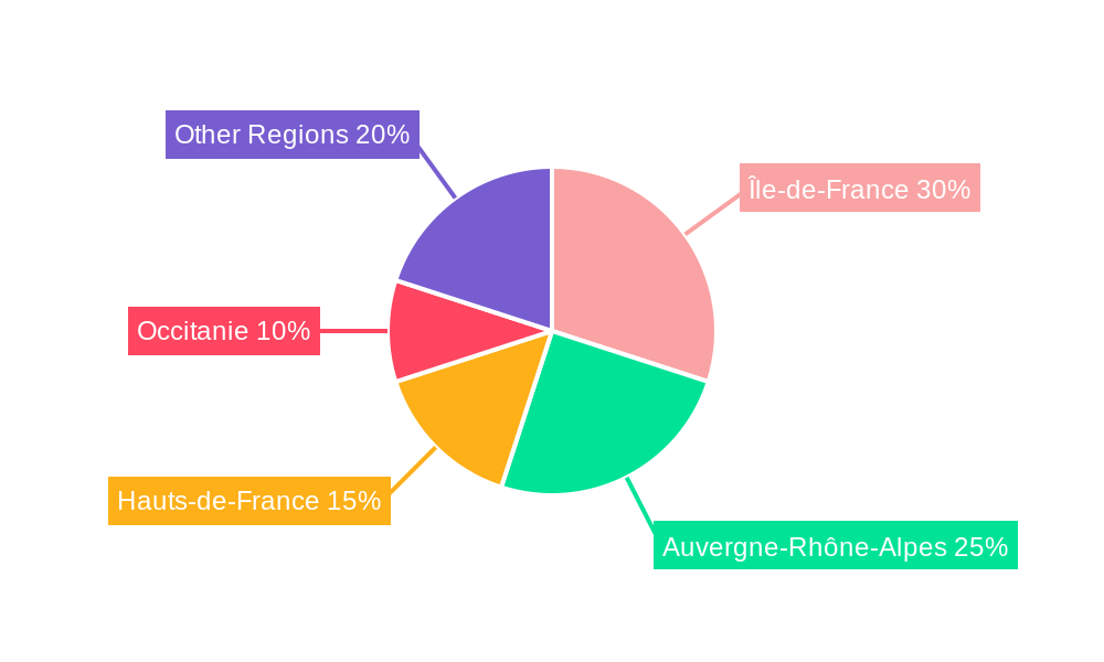 France Electric Vehicle Battery Anode Market Regional Share