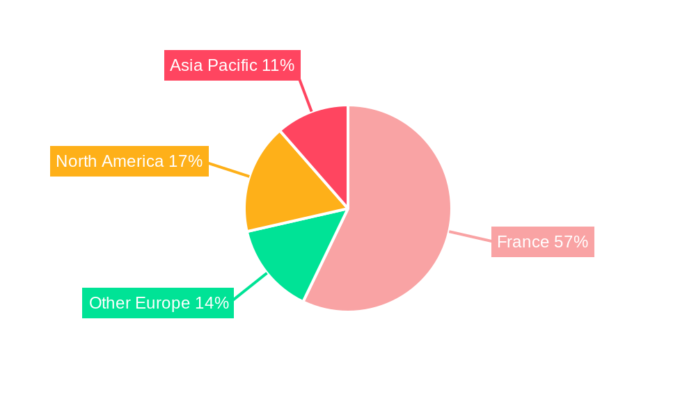 France Geospatial Imagery Analytics Market Regional Share