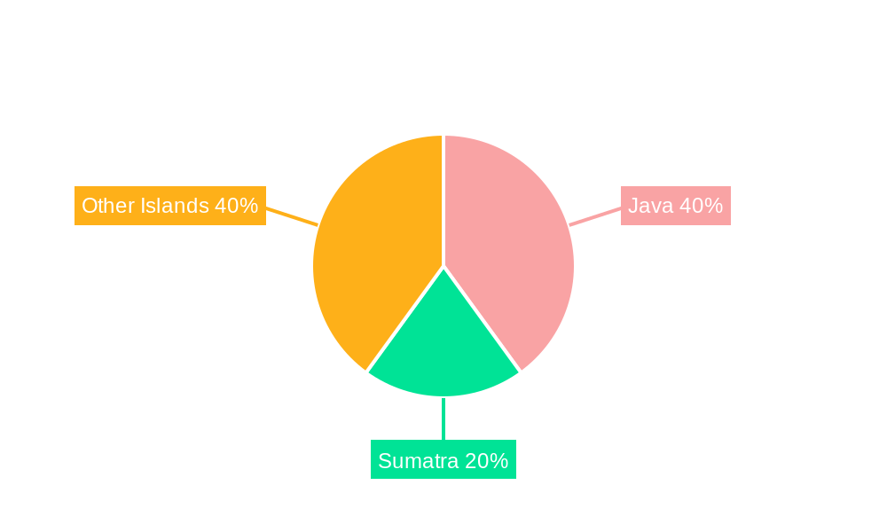 Indonesia CPaaS Market Regional Share