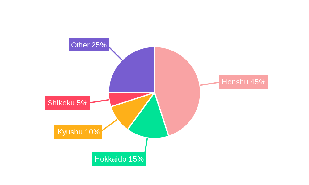 Japan Hydropower Market Regional Share