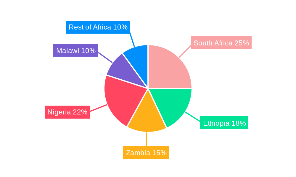 Maize Market in Africa Regional Share