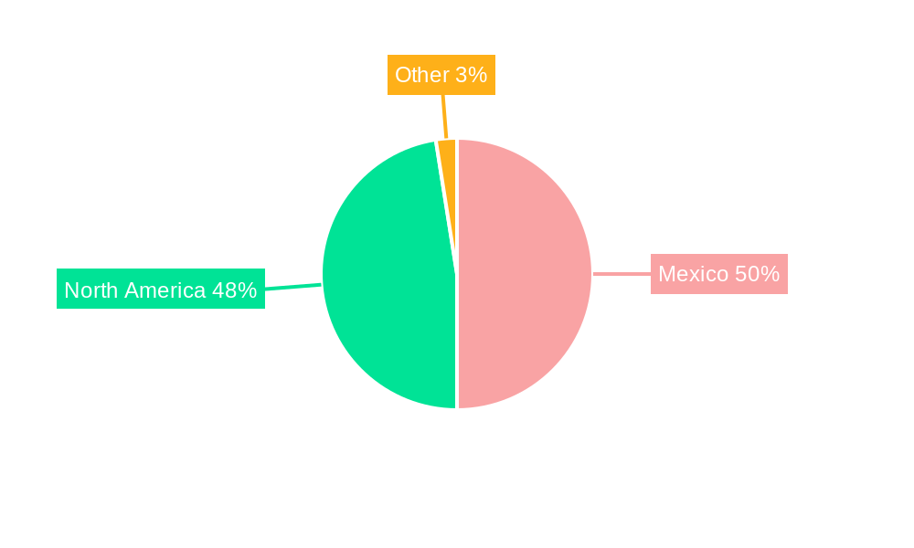 Mexico Automotive Parts Aluminum Die Casting Market Regional Share