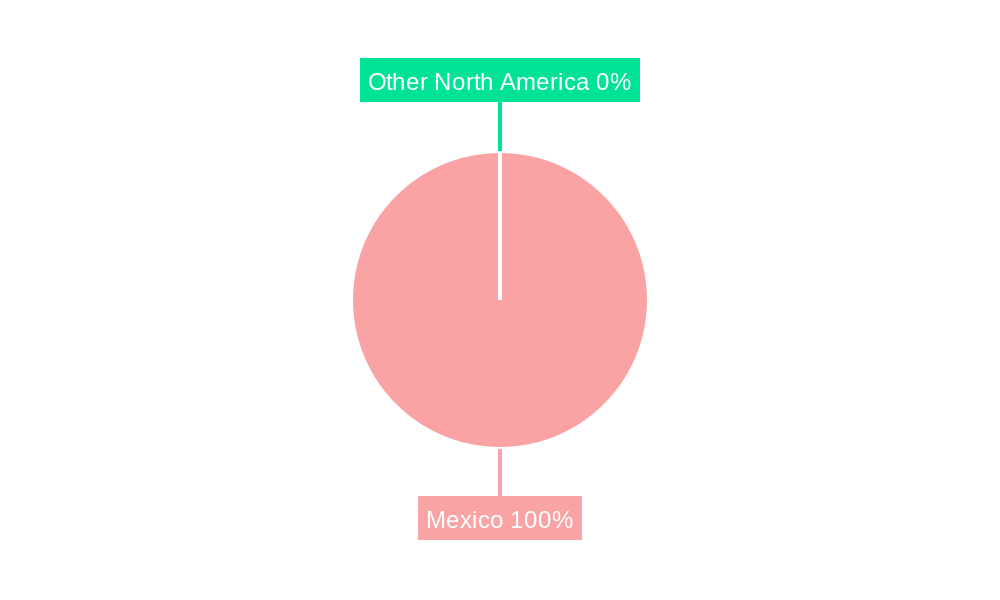 Mexico Passenger Vehicles Lubricants Market Regional Share