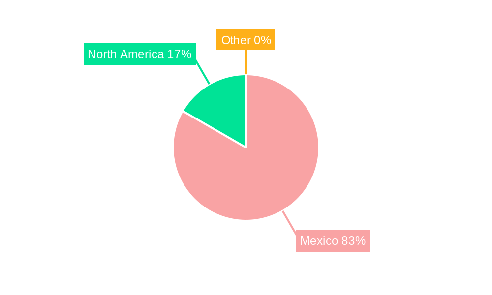 Mexico Solar PV Industry Regional Share