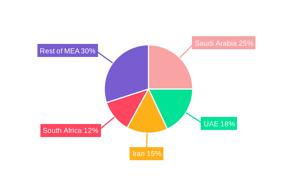 Middle East & Africa Infrastructure Construction Market Regional Share