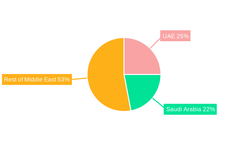 Middle East Automotive Lubricants Market Regional Share