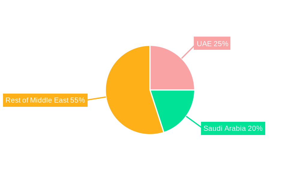 Middle East Geospatial Analytics Market Regional Share