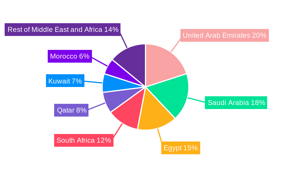 Middle East and Africa Aerosol Disinfectants Market Regional Share