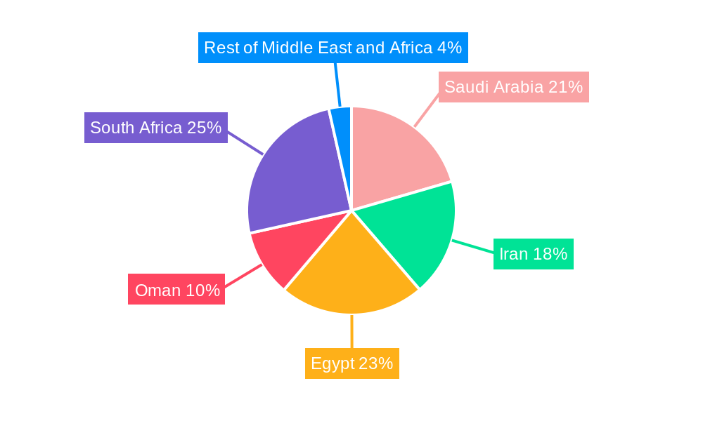 Middle East and Africa Continuous Glucose Monitoring Market Regional Share