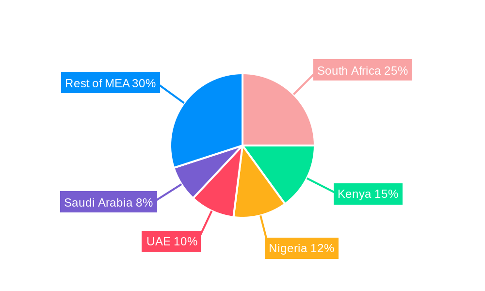 Middle East and Africa Outdoor LED Lighting Market Regional Share