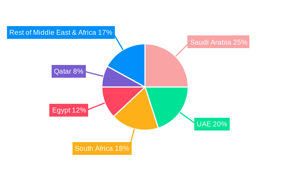 Middle East and Africa Thermal Power Market Regional Share
