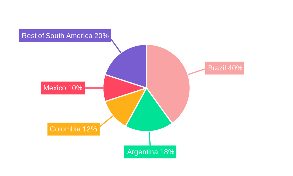 South America Automotive Engine Oils Market Regional Share