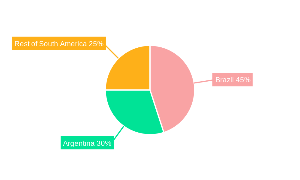 South America Crop Protection Chemicals Market Regional Share