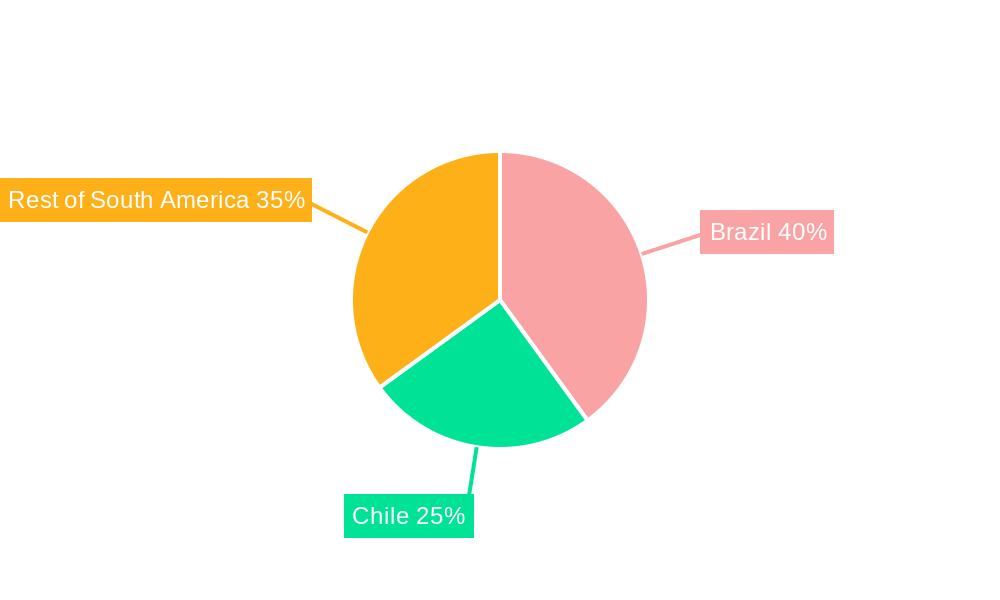 South America Data Center Server Market Regional Share