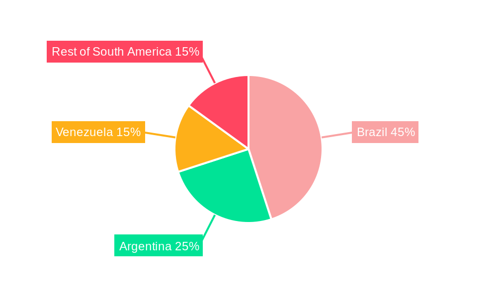 South America Intelligent Pigging Market Regional Share