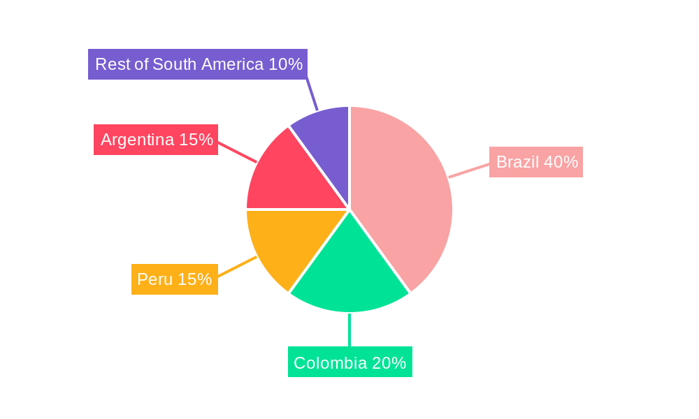 South America Lithium-ion Battery For Electric Vehicle Market Regional Share