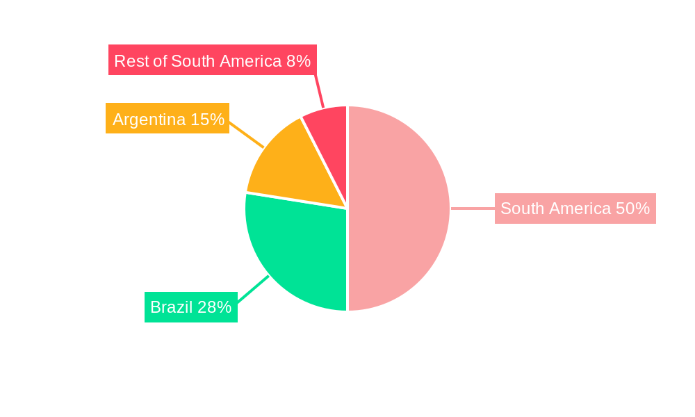 South America MRI Market Regional Share