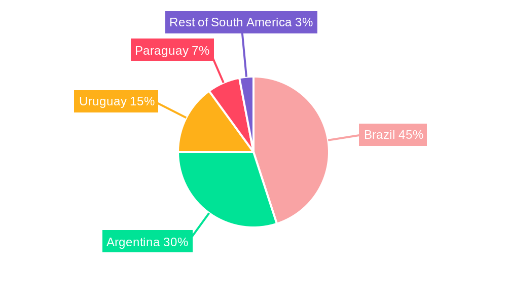 South America Mate Industry Regional Share