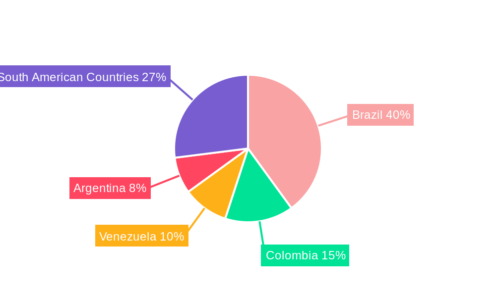 South America Offshore Helicopter Services Market Regional Share