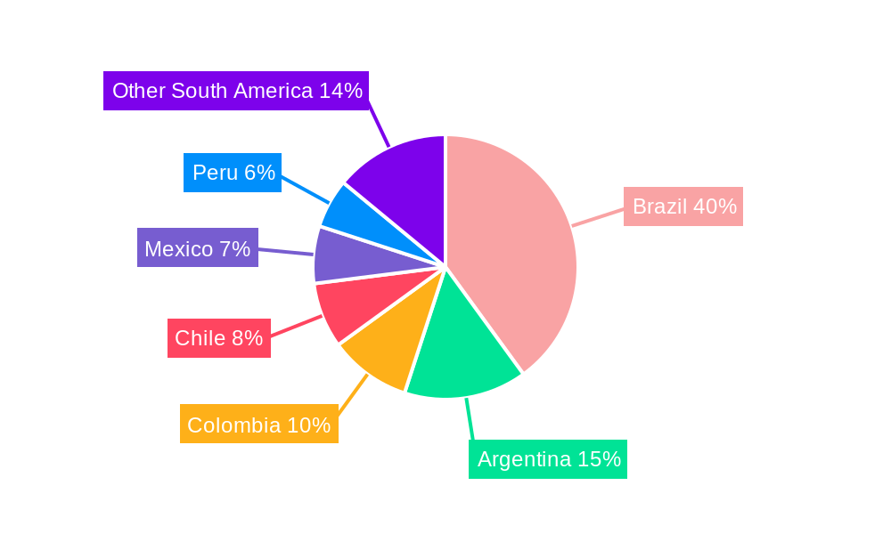 South America Water Treatment Chemicals Industry Regional Share