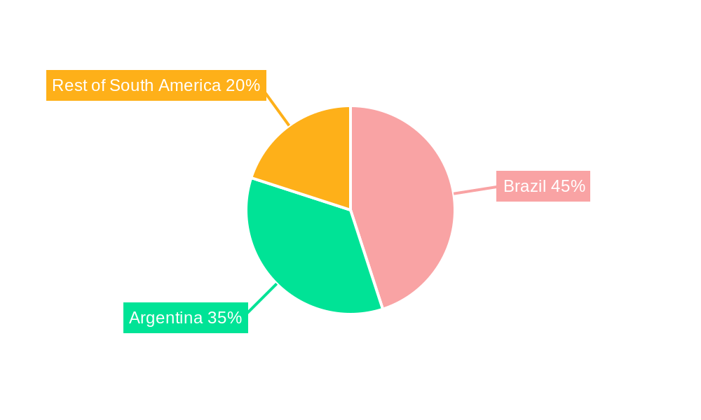 South American Olives Market Regional Share