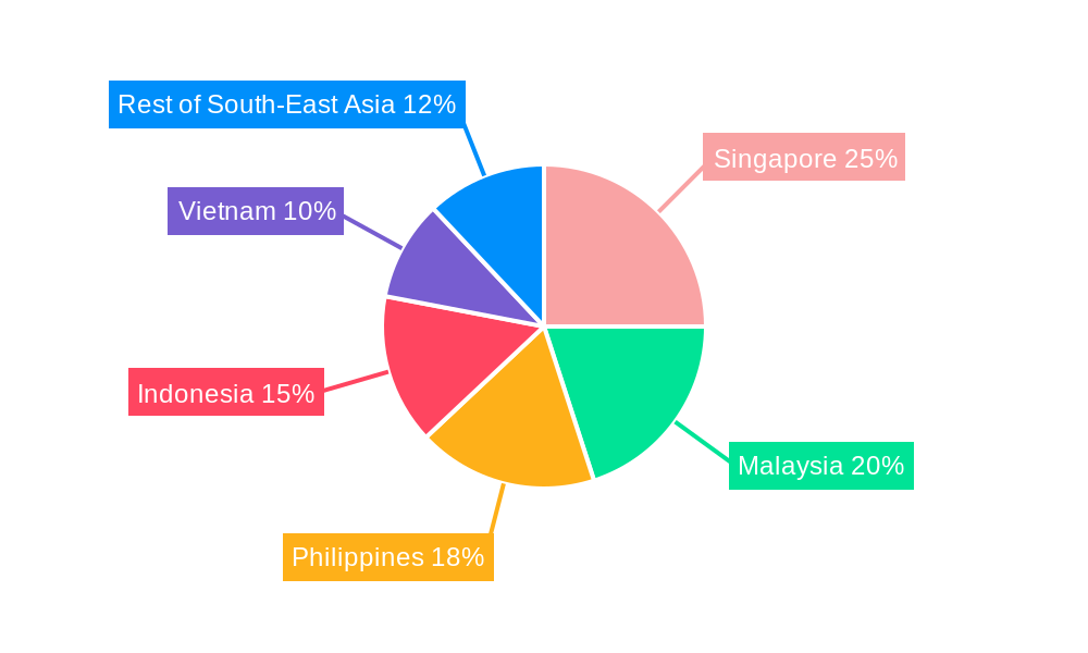 South-East Asia Aviation Infrastructure Market Regional Share
