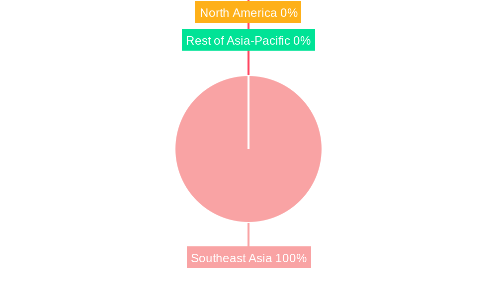 Southeast Asia Commercial Aircraft MRO Market Regional Share