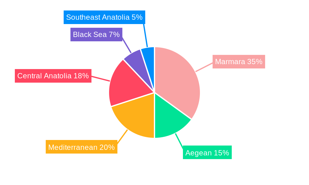 Turkey Washing Machine Market Regional Share